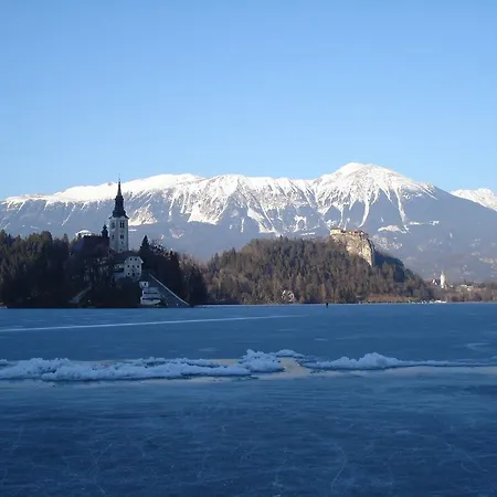 Apartament Marjetica *