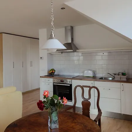 Marjetica Apartment Bled