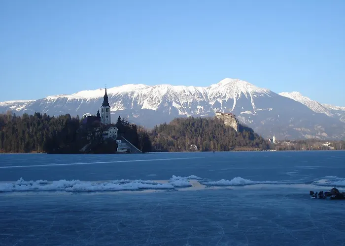 アパート マルイェティカ *